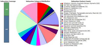 Genome Characterization and Comparison of Early Mortality Syndrome Causing Vibrio parahaemolyticus pirABvp− Mutant From Thailand With V. parahaemolyticus pirABvp+ AHPND Isolates